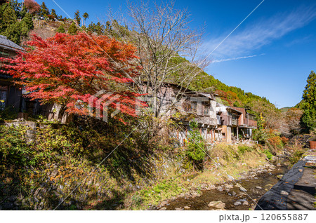 晩秋の鞍馬川風景　京都市 120655887