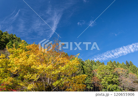秋の鞍馬山風景　京都市 120655906