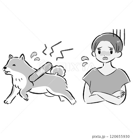 怪我をした犬と心配する飼い主の女性のイラストセット 120655930