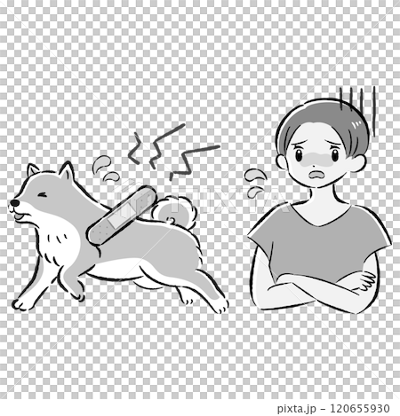 一隻受傷的狗和一位憂心忡忡的女主人的插圖集 120655930