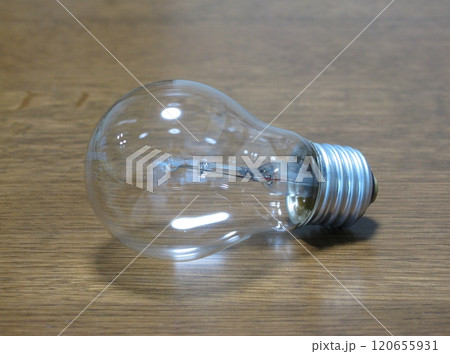 白熱電球(100ボルト用クリア電球) 白熱電球(100ボルト用クリア電球) 120655931