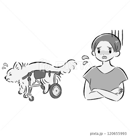 犬用車いすを付けた犬と心配する飼い主の女性のイラストセット 120655993