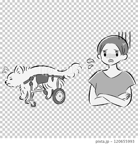 一隻坐在狗輪椅上的狗和一位憂心忡忡的女主人的插圖集 一隻坐在狗輪椅上的狗和一位憂心忡忡的女主人的插圖集 120655993