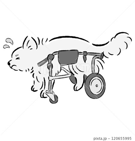 犬用車いすを付けた困った表情の犬のイラスト 120655995