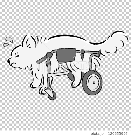 Illustration of a dog with a troubled expression wearing a dog wheelchair 120655995