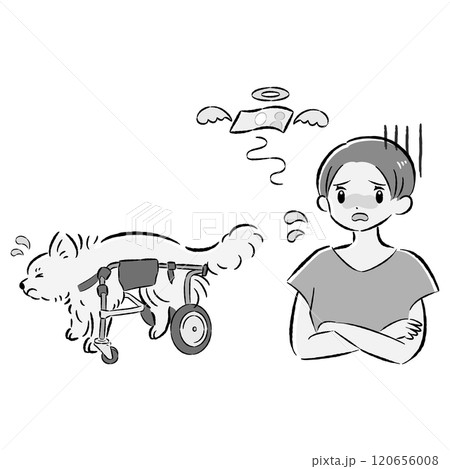 犬用車いすを付けた犬と心配する飼い主の女性のイラストセット 犬用車いすを付けた犬と心配する飼い主の女性のイラストセット 120656008