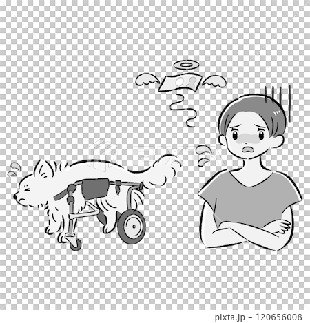 犬用車いすを付けた犬と心配する飼い主の女性のイラストセット 犬用車いすを付けた犬と心配する飼い主の女性のイラストセット 120656008