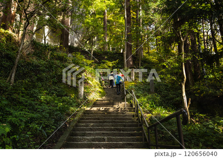 宝珠山立石寺山寺の木漏れ日の石段参道 120656040