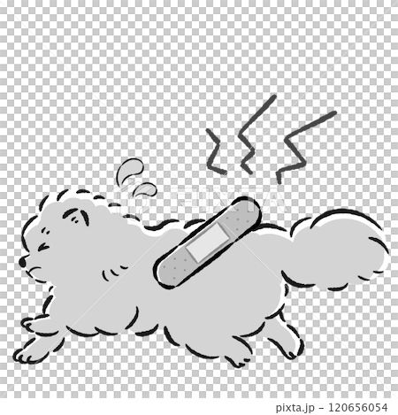 怪我をして困った表情の犬のイラスト 120656054