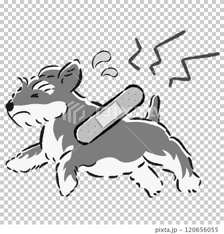 怪我をして困った表情の犬のイラスト 怪我をして困った表情の犬のイラスト 120656055