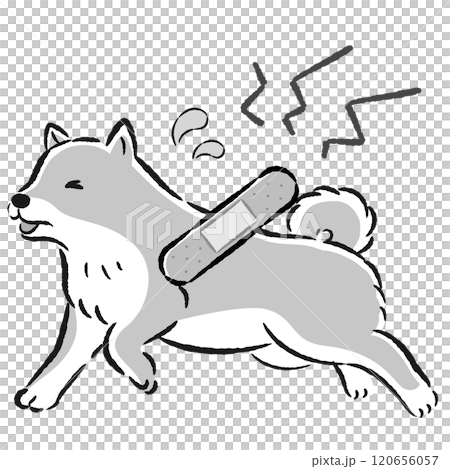 Illustration of an injured dog with a troubled expression 120656057