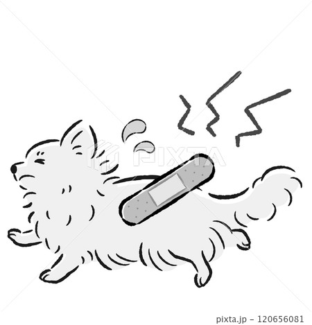 怪我をして困った表情の犬のイラスト 120656081