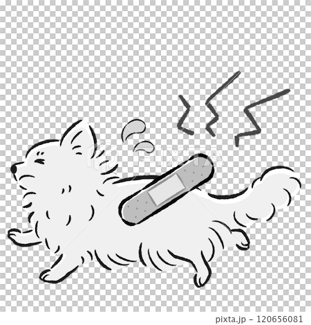 一隻受傷的狗狗表情困擾的插圖 120656081