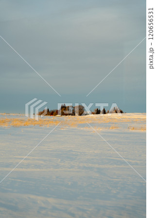 Idaho Winter Wonderland: Snow-Covered Fields, Trees, and Stunning Sunset Glow. Idaho Winter Wonderland: Snow-Covered Fields, Trees, and Stunning Sunset Glow. 120656531