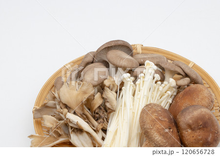 色々なきのこの盛り合わせ 椎茸、平茸、エノキ、舞茸 色々なきのこの盛り合わせ 椎茸、平茸、エノキ、舞茸 120656728