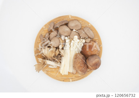 色々なきのこの盛り合わせ 椎茸、平茸、エノキ、舞茸 色々なきのこの盛り合わせ 椎茸、平茸、エノキ、舞茸 120656732