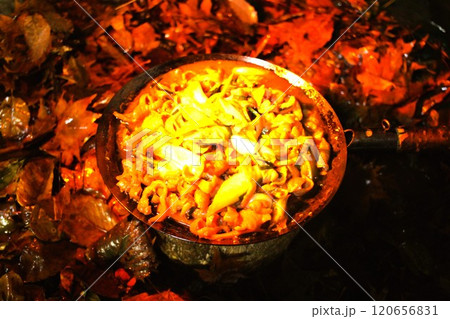 焚火フライパンでホルモン焼き 120656831