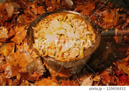 焚火フライパンでホルモン焼き 120656832