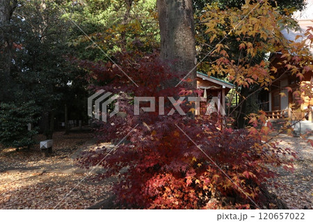 小金井神社 小金井神社 120657022