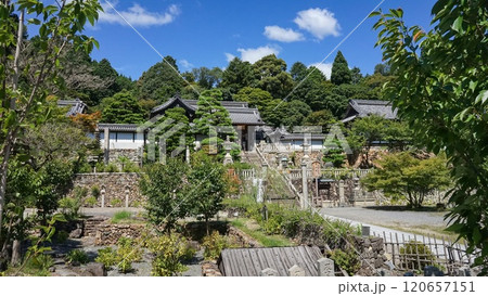 柳谷観音 楊谷寺 柳谷観音 楊谷寺 120657151