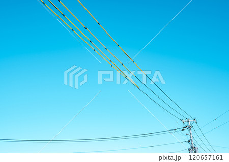 工事現場周辺の電線防護カバーと快晴の青空　a-4 ライトトーン 120657161