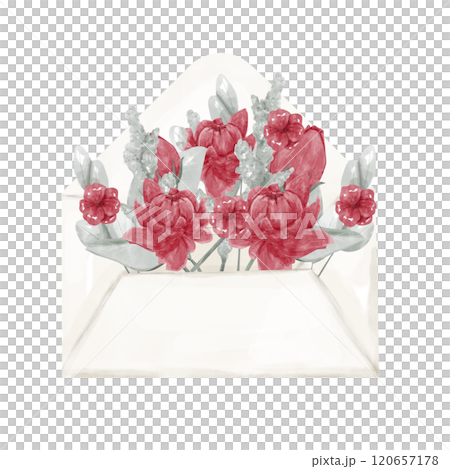 Open Envelope with Red Peony or Lotus Flowers, Green Branches and Herb Leaves, Watercolor Digital Illustration for Print and Web Use 120657178