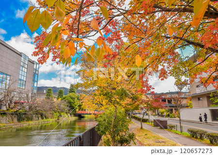 京都市　秋の岡崎エリア周辺の街並み 120657273