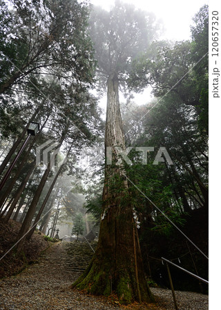 元伊勢内宮　皇大神社　参道 120657320