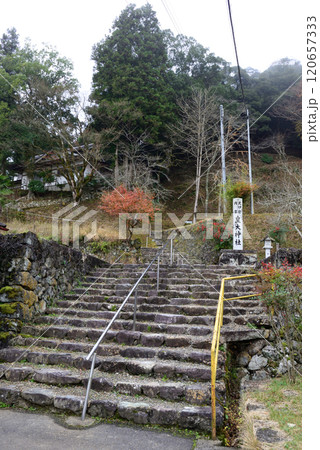 元伊勢内宮　皇大神社　参道 120657333