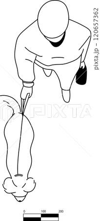 犬の散歩をする男性の平面図イラスト 120657362