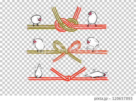 Mizuhiki set of Java sparrows 120657893