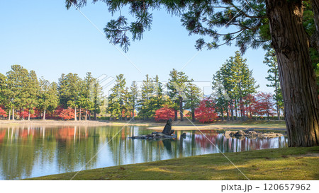 秋の毛越寺浄土庭園 大泉が池 岩手県 秋の毛越寺浄土庭園 大泉が池 岩手県 120657962
