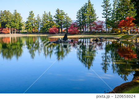 毛越寺美しく紅葉した浄土庭園　大泉が池　岩手県 120658024