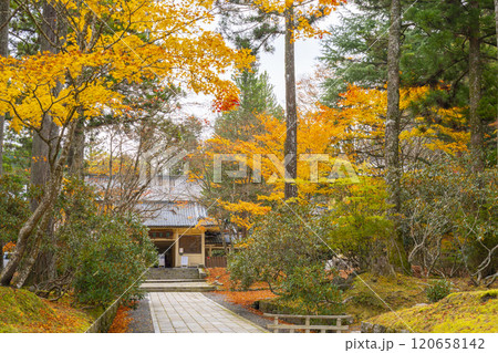 秋の高野山霊宝館 120658142