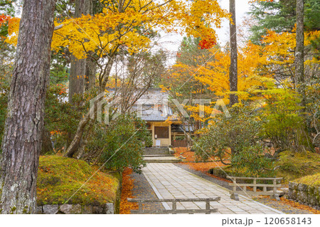 秋の高野山霊宝館 秋の高野山霊宝館 120658143
