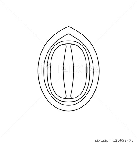 ハトムギの種子の構造(線画、イメージ図) ハトムギの種子の構造(線画、イメージ図) 120658476