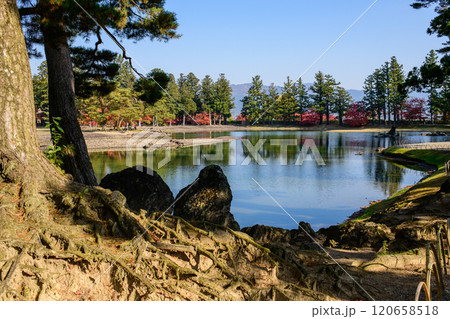 特別名勝毛越寺の秋 築山と大泉が池 岩手県 特別名勝毛越寺の秋 築山と大泉が池 岩手県 120658518