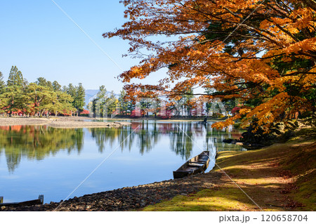 毛越寺浄土庭園の秋　岩手県 120658704