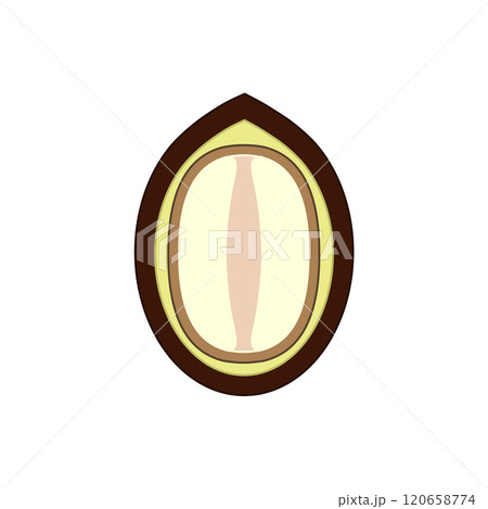 ハトムギなどの種子の構造（イメージ図） 120658774