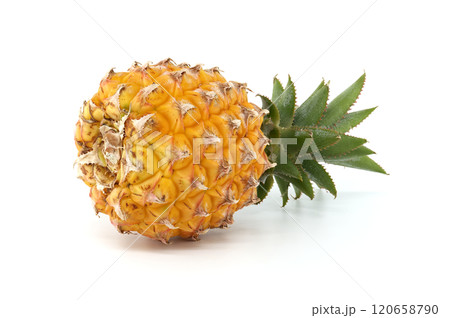Fresh Ripe Pineapple on White Background Isolated Closeup 120658790