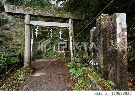 元伊勢三社 天岩戸神社(岩戸山)鳥居 元伊勢三社 天岩戸神社(岩戸山)鳥居 120658923
