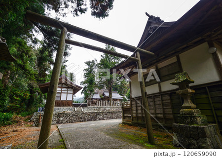元伊勢外宮　豊受大神社　黒木鳥居 120659090