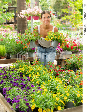Smiling girl choosing colorful calibrachoa in pots at garden center 120659226