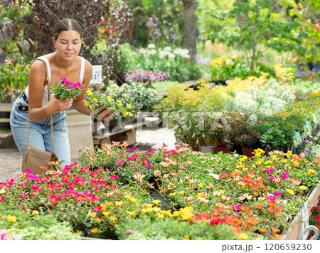 Young girl choosing vibrant blooming Portulaca in pot in garden center Young girl choosing vibrant blooming Portulaca in pot in garden center 120659230