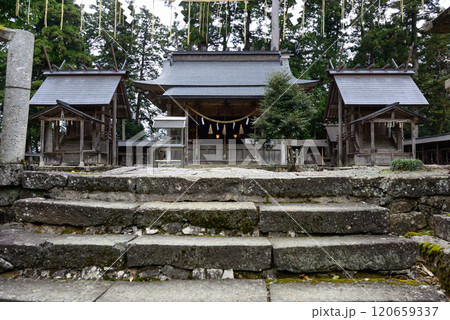 元伊勢外宮 豊受大神社 社殿 元伊勢外宮 豊受大神社 社殿 120659337
