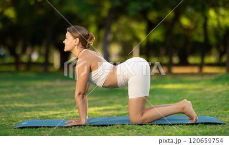Girl in park on green grass of lawn performs Marjariasana Girl in park on green grass of lawn performs Marjariasana 120659754
