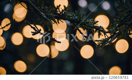 A detailed view of tree branches decorated with warm festive lights, set against a blurred natural background for a cozy atmosphere. . High quality illustration 120659781