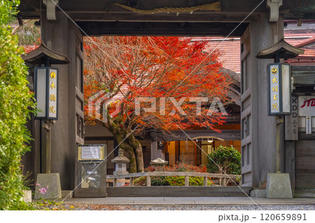 高野山宿坊　紅葉に包まれた大明王院 120659891
