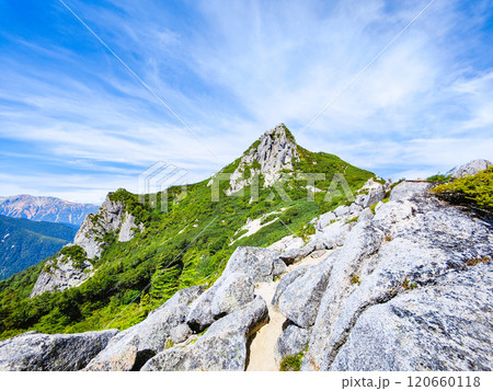 夏の烏帽子岳・南沢岳登山（前烏帽子岳～烏帽子岳山頂） 120660118