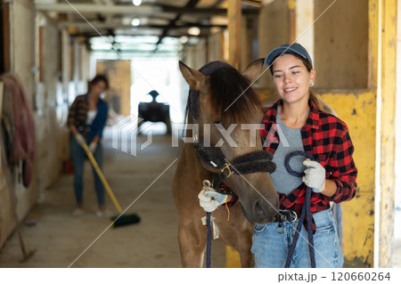 Female owner of horse takes animal out of stall, holds bridle and forces it to follow her Female owner of horse takes animal out of stall, holds bridle and forces it to follow her 120660264